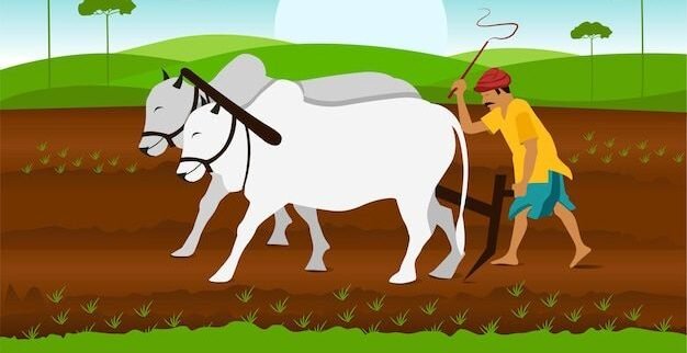 pm kisan 20th installment date